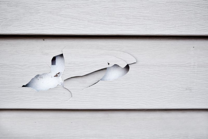 Damaged Siding Repair in Boulder County, CO