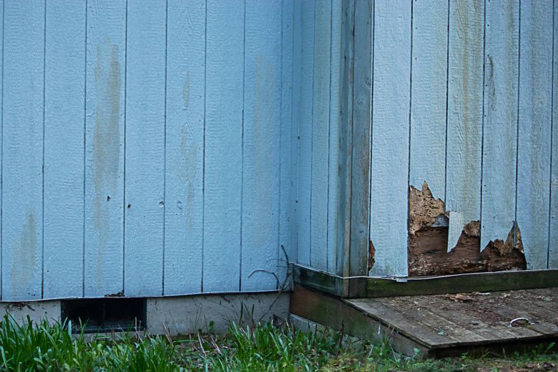 Home Siding Repair in Brighton, CO