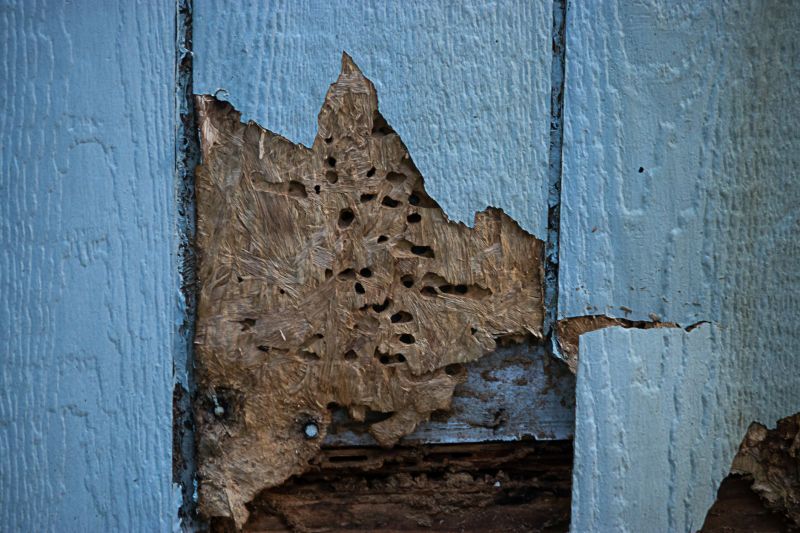 Home Siding Repair in Broomfield, CO