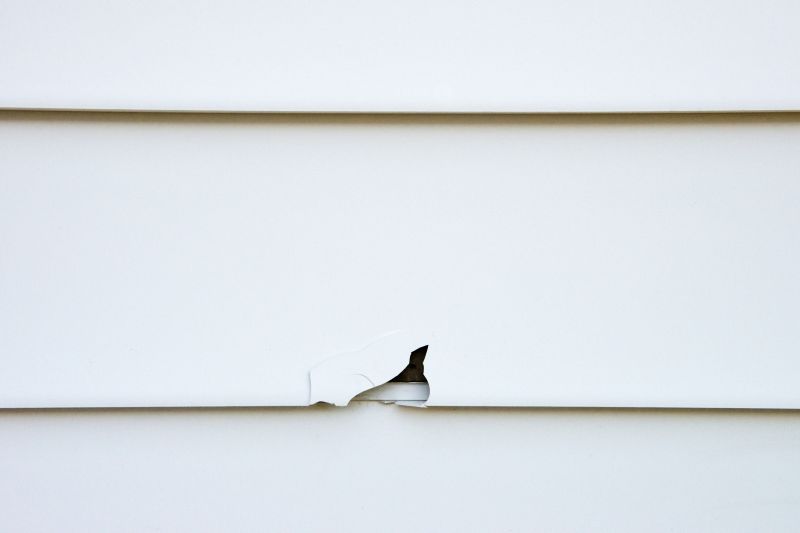 Home Siding Repair in Nederland, CO