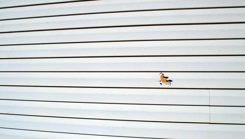 Siding Maintenance in Milliken, CO