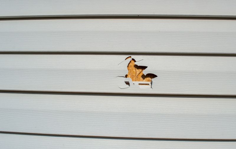 Siding Patching in Boulder County, CO