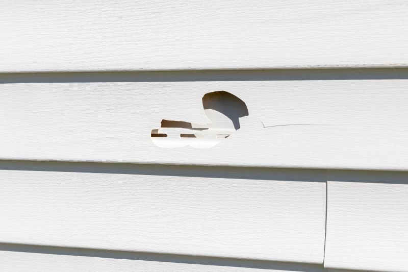 Vinyl Siding Repair in Berthoud, CO